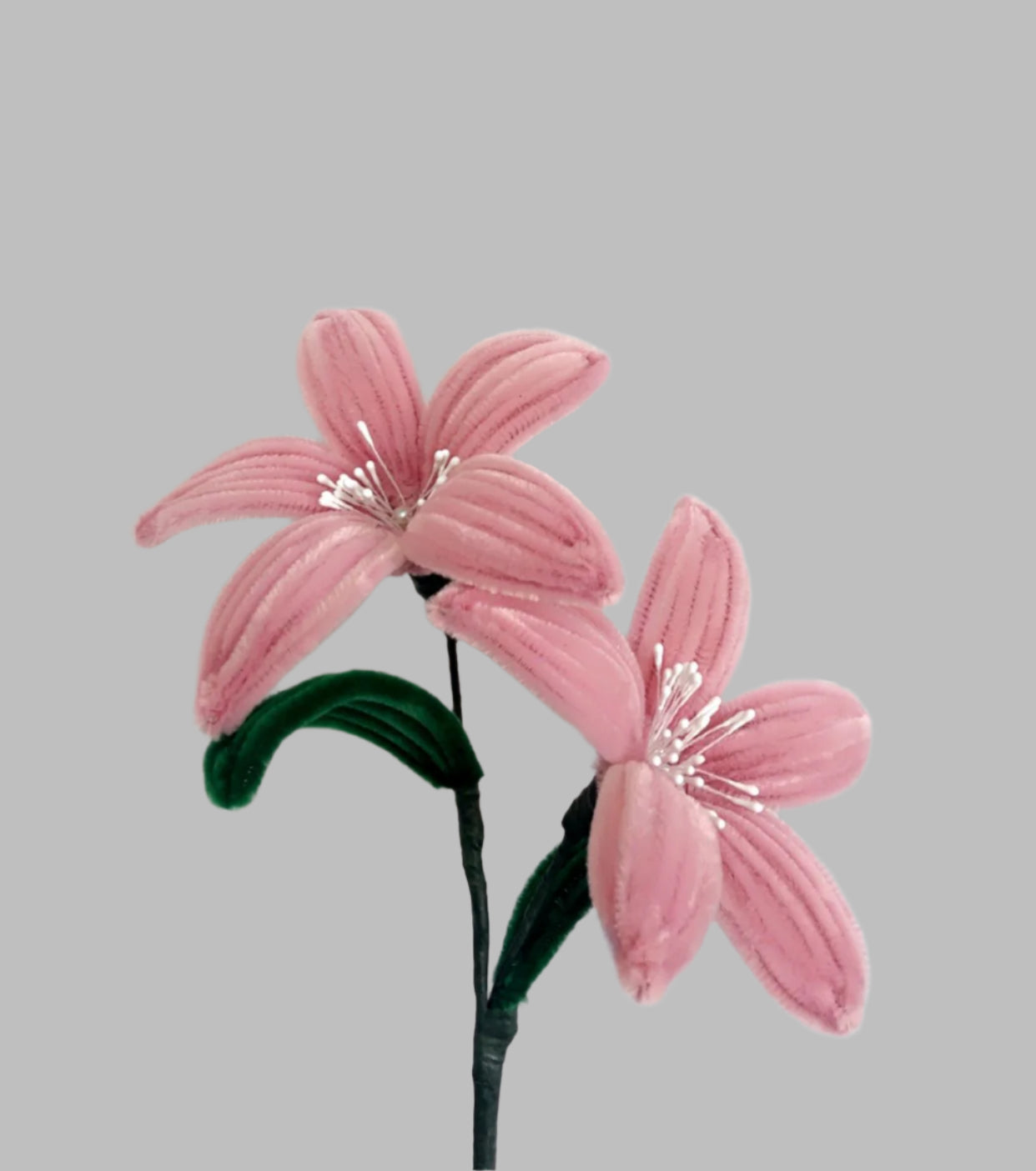 Lily Flower version 1