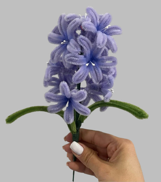 Hyacinth
