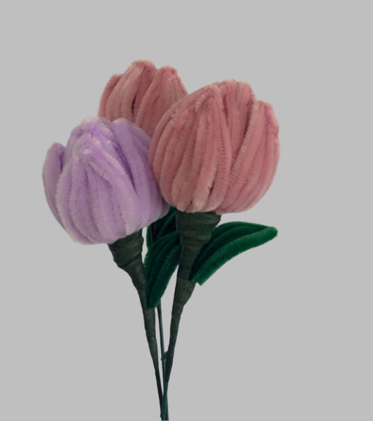 Tulip