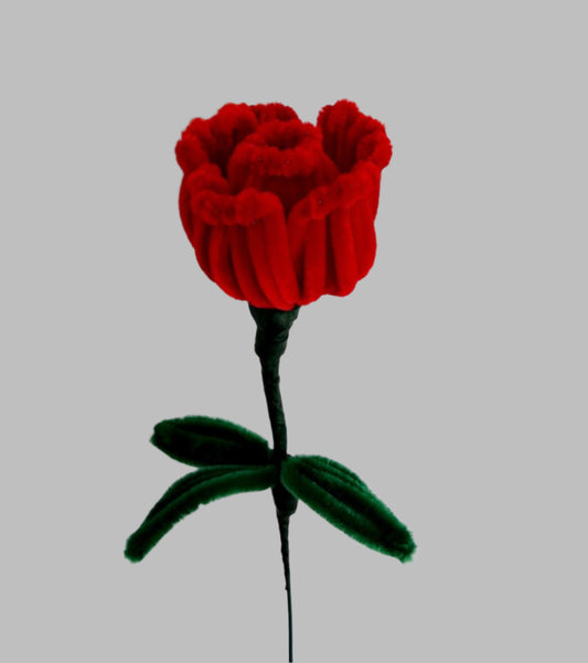 Rose version 1