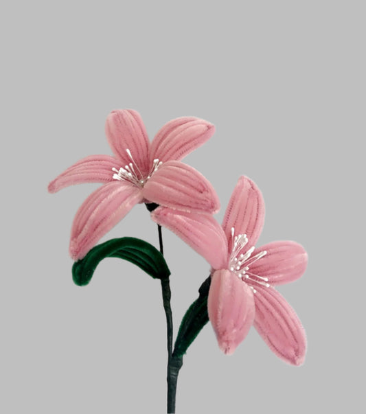 Lily Flower version 1
