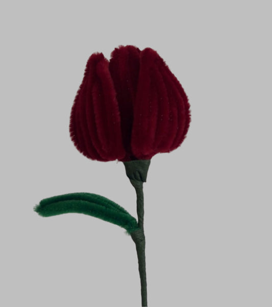 Tulip